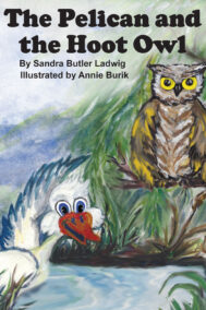 The Pelican and the Hoot Owl by Sandra Ludwig