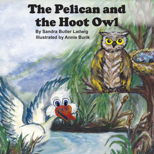 The Pelican and the Hoot Owl by Sandra Ludwig