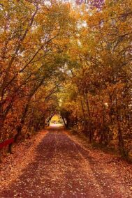 Fall Corridor print by Syed Adeel Hussain on PageMaster Publishing
