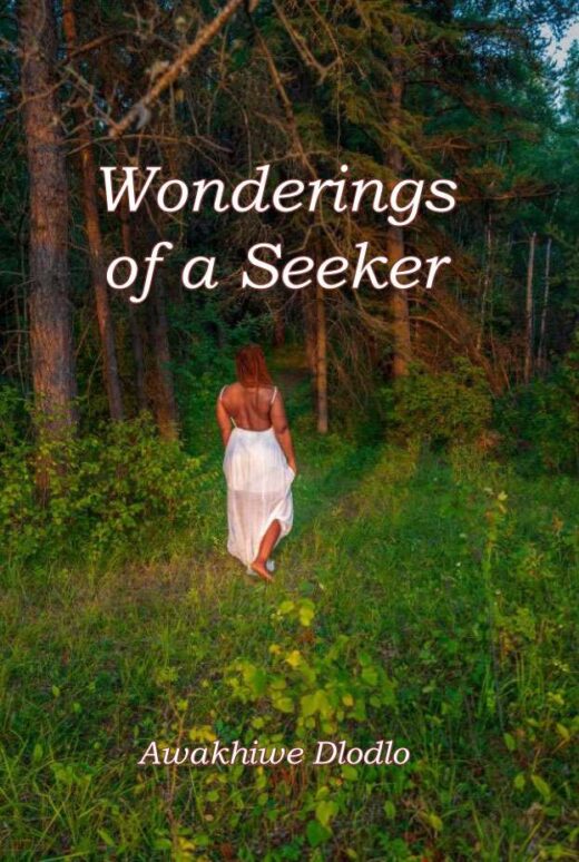 Wonderings of a Seeker by Awakhiwe Dlodlo Front Cover