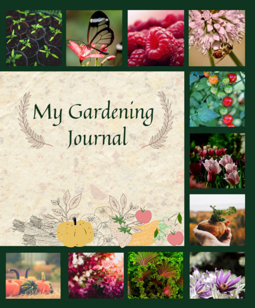 front cover of alex tayler's gardening journal