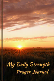 front cover of alex tayler prayer journal