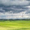 Grey Skies over Green Fields by Bruce Deacon on PageMaster Publishing