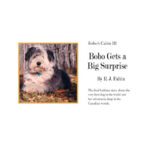 Front Cover of Bobo Gets a Big Surprise by RJ Faltin