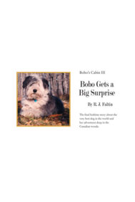 Front Cover of Bobo Gets a Big Surprise by RJ Faltin