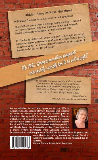 In Trouble by Dianne Palovcik Back Cover