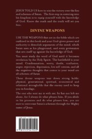 Divine Weapons by Evelyn Morris Back Cover