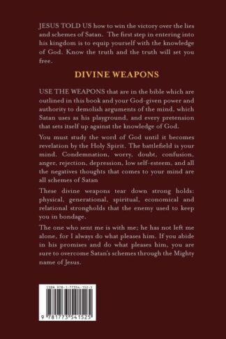 Divine Weapons by Evelyn Morris Back Cover