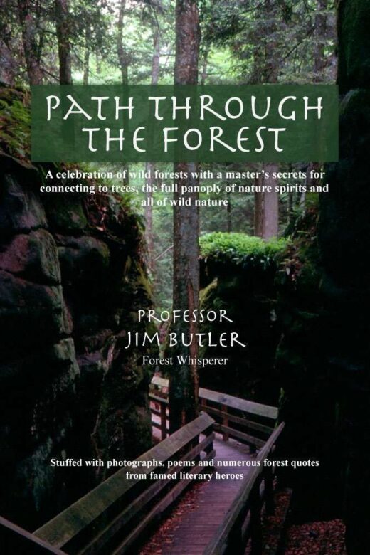 The front cover of Path Through the Forest, by Jim Butler