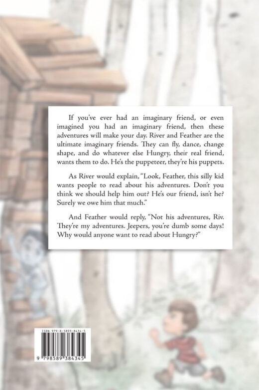back cover of adventure of the imaginary brothers