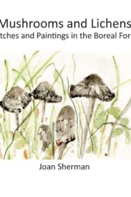 Mushrooms and Lichens by Joan Sherman Front Cover