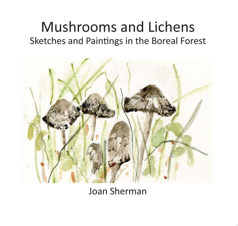 Mushrooms and Lichens by Joan Sherman Front Cover