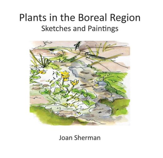 Plants in the Boreal Region by Joan Sherman Front Cover