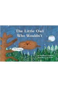 The Little Owl Who Wouldn't by Kathleen Guthrie