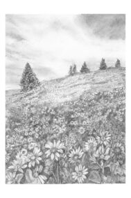 New Meadow by Patricia Polet