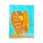 Perched Affections by Robert Calhoun