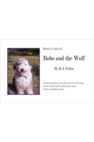 Bobo and the Wolf by R.J. Faltin