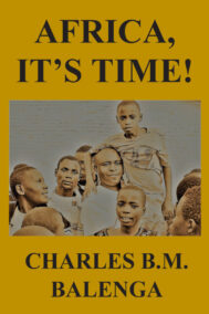 Africa It's Time 2ed front cover