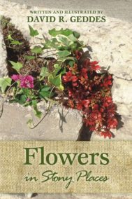 Flowers in Stony Places
