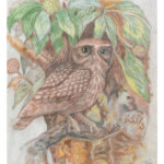 Owl - Image 2