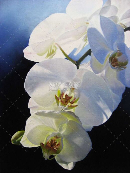 Luminosity by Karen Loranger