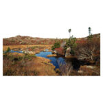 Eastcoast Carpet by Bruce Deacon on PageMaster Publishing
