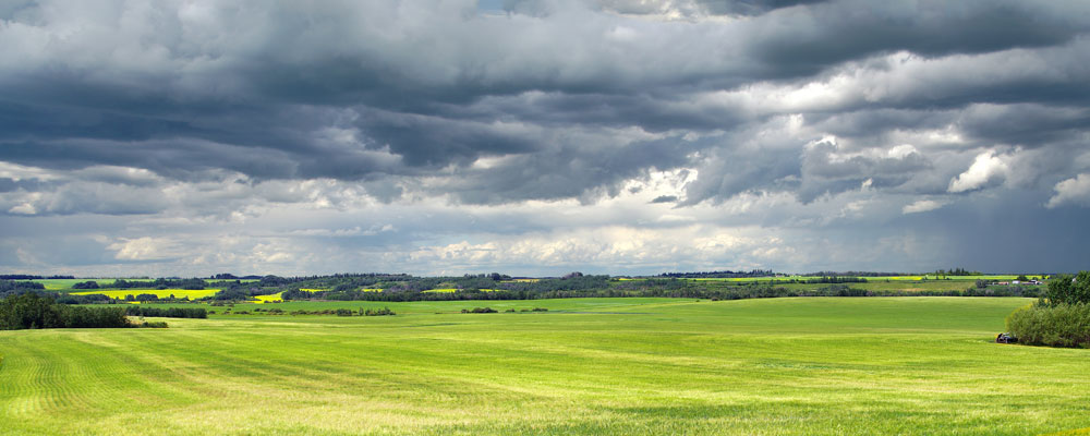 Grey Skies over Green Fields by Bruce Deacon on PageMaster Publishing