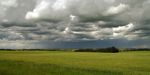 July Sky by Bruce Deacon on PageMaster Publishing