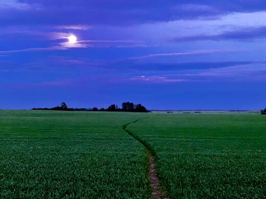 A night in the Fields print by Syed Adeel Hussain on PageMaster Publishing