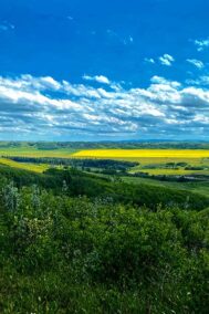 Canola Valley print by Syed Adeel Hussain on PageMaster Publishing