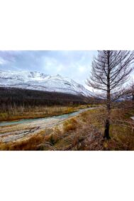 Carribou Land by Syed Adeel Hussain