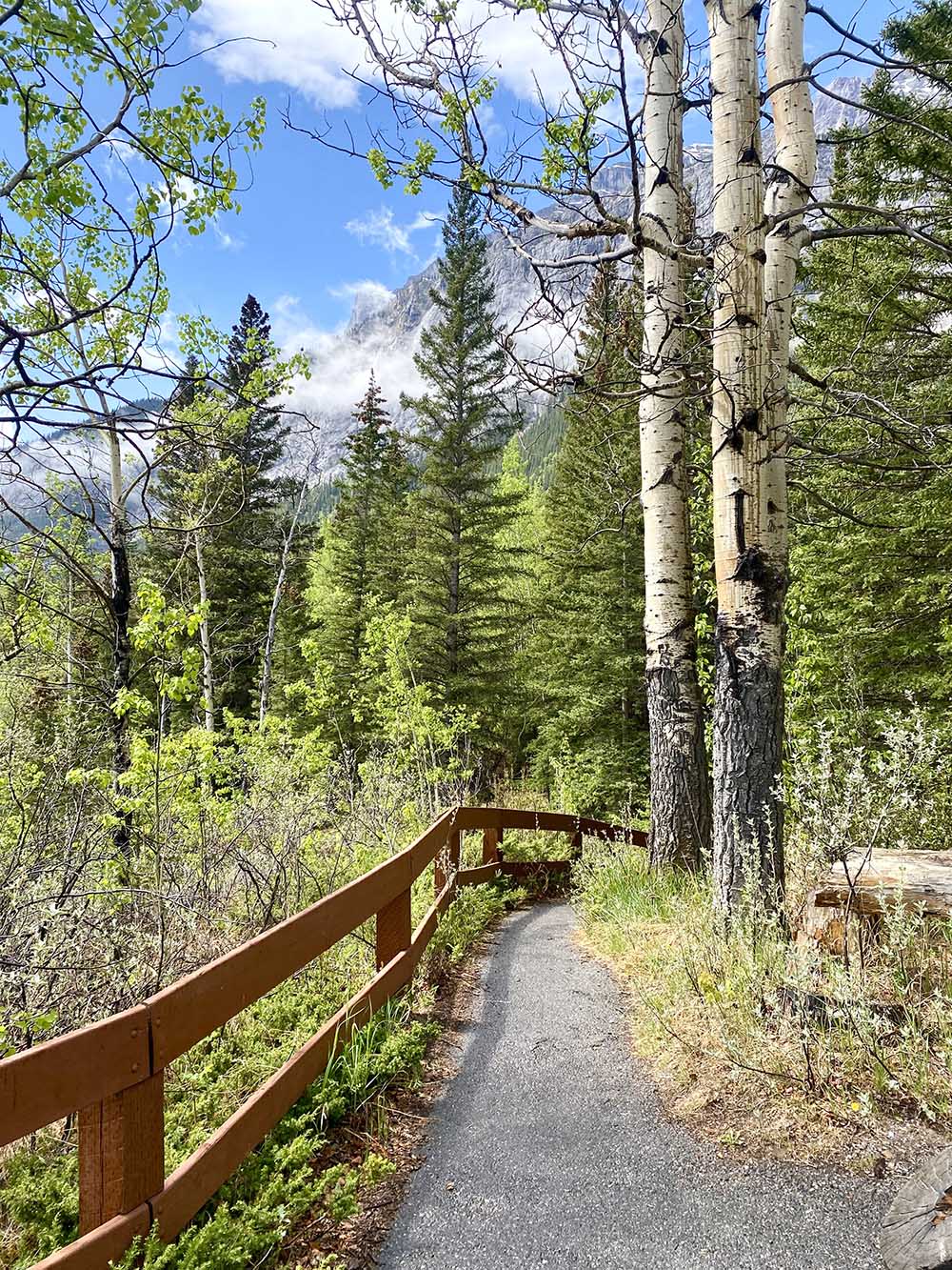 Clouds in the Forest print by Syed Adeel Hussain on PageMaster Publishing