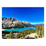 Peyto Archives - Image 2