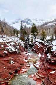 Red and White Canyon by Syed