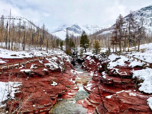 Red and White Canyon by Syed