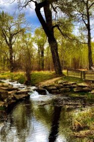 Silent Creek print by Syed Adeel Hussain on PageMaster Publishing