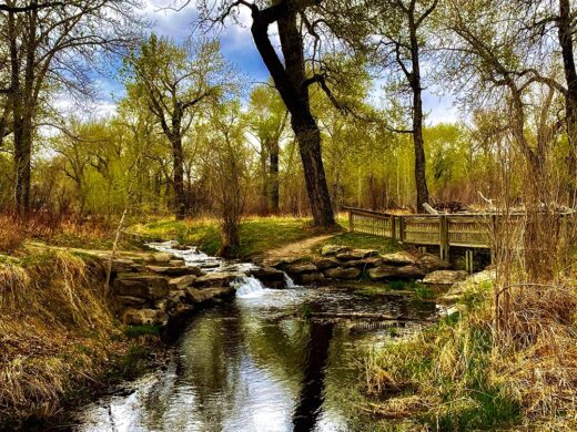 Silent Creek print by Syed Adeel Hussain on PageMaster Publishing