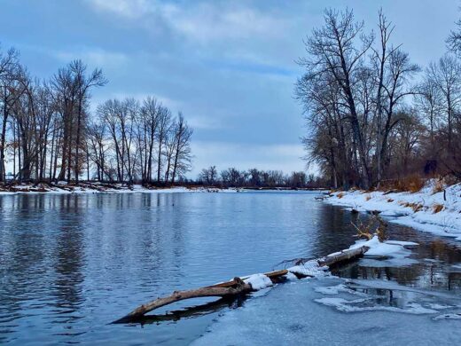 Spring Pond print by Syed Adeel Hussain on PageMaster Publishing