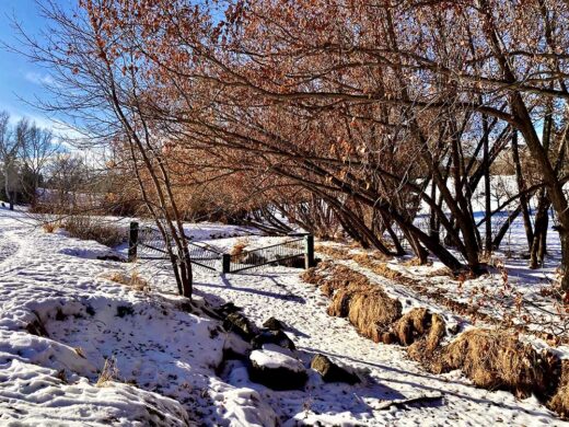 Spring Ravine print by Syed Adeel Hussain on PageMaster Publishing