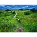 Storm in the Prairies by Syed Adeel Hussain