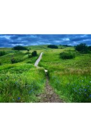 Storm in the Prairies by Syed Adeel Hussain