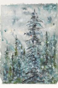 Reaching for the Sky by Barbara Hull on PageMaster Publishing