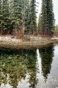 Beaver Pond print by Syed Adeel Hussain on PageMaster Publishing