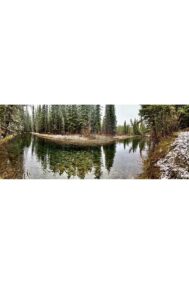 Beaver Pond by Syed Adeel Hussain