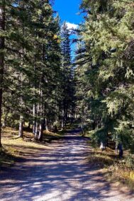 Bragg Creek by Syed Adeel Hussain