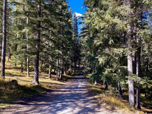 Bragg Creek by Syed Adeel Hussain