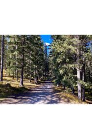 Bragg Creek by Syed Adeel Hussain