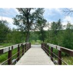 Bridge to Green 3 by Syed Adeel Hussain