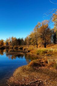 Fall Colours print by Syed Adeel Hussain on PageMaster Publishing