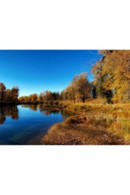 Fall Colours by Syed Adeel Hussain